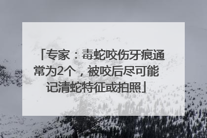 专家：毒蛇咬伤牙痕通常为2个，被咬后尽可能记清蛇特征或拍照