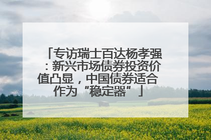 专访瑞士百达杨孝强：新兴市场债券投资价值凸显，中国债券适合作为“稳定器”