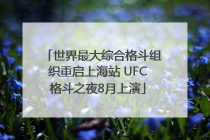 世界最大综合格斗组织重启上海站 UFC格斗之夜8月上演