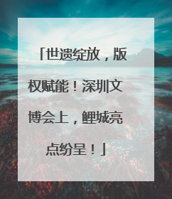 世遗绽放，版权赋能！深圳文博会上，鲤城亮点纷呈！