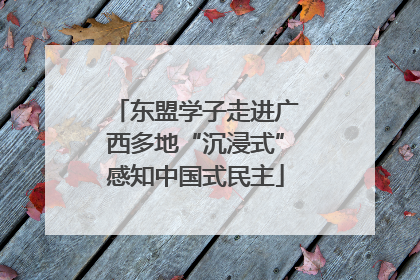 东盟学子走进广西多地“沉浸式”感知中国式民主