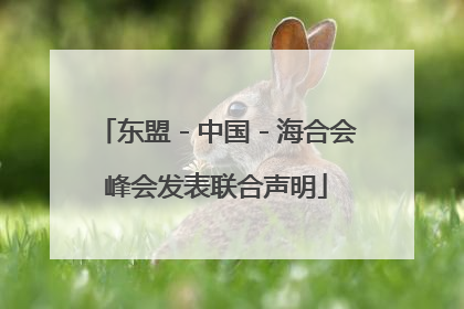 东盟－中国－海合会峰会发表联合声明