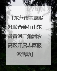东营市志愿服务联合会在山东省黄河三角洲农高区开展志愿服务活动