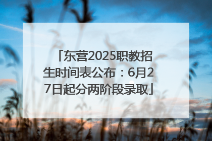 东营2025职教招生时间表公布：6月27日起分两阶段录取