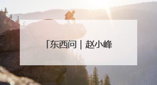 东西问｜赵小峰：“秦岭工坊”何以扬帆出海？