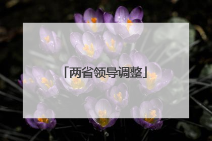 两省领导调整
