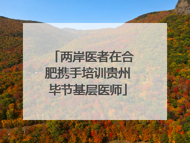 两岸医者在合肥携手培训贵州毕节基层医师