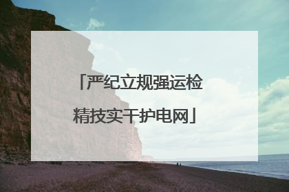 严纪立规强运检 精技实干护电网