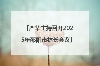 严华主持召开2025年邵阳市林长会议