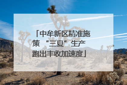 中牟新区精准施策 “三夏”生产跑出丰收加速度