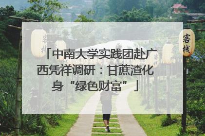中南大学实践团赴广西凭祥调研：甘蔗渣化身“绿色财富”