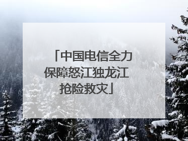 中国电信全力保障怒江独龙江抢险救灾
