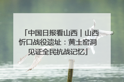 中国日报看山西｜山西忻口战役遗址：黄土窑洞见证全民抗战记忆
