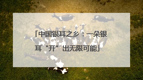 中国银耳之乡：一朵银耳“开”出无限可能