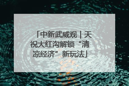 中新武威观｜天祝大红沟解锁“清凉经济”新玩法