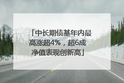 中长期债基年内最高涨超4%，超6成净值表现创新高