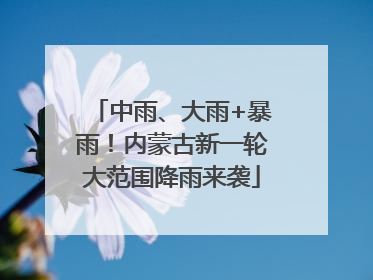 中雨、大雨+暴雨！内蒙古新一轮大范围降雨来袭