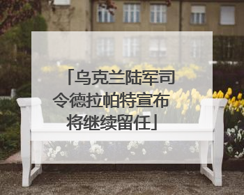 乌克兰陆军司令德拉帕特宣布将继续留任
