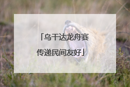 乌干达龙舟赛传递民间友好