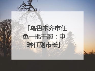 乌鲁木齐市任免一批干部：申琳任副市长