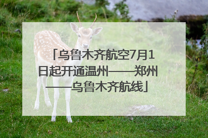 乌鲁木齐航空7月1日起开通温州——郑州——乌鲁木齐航线