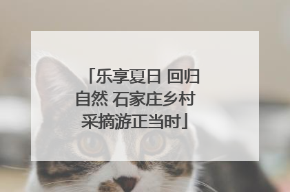 乐享夏日 回归自然 石家庄乡村采摘游正当时