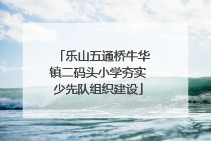 乐山五通桥牛华镇二码头小学夯实少先队组织建设