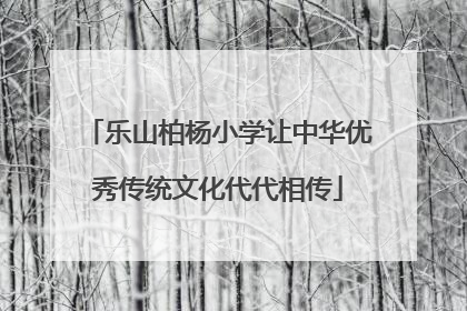 乐山柏杨小学让中华优秀传统文化代代相传