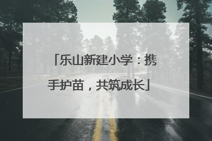 乐山新建小学：携手护苗，共筑成长