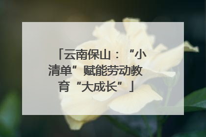 云南保山：“小清单”赋能劳动教育“大成长”