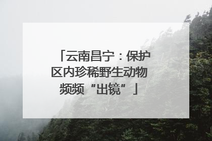云南昌宁：保护区内珍稀野生动物频频“出镜”