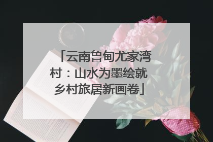 云南鲁甸尤家湾村：山水为墨绘就乡村旅居新画卷