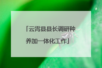 云霄县县长调研种养加一体化工作