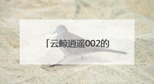 云鲸逍遥002的出现，让技术回归服务用户的本质