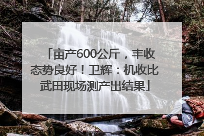 亩产600公斤，丰收态势良好！卫辉：机收比武田现场测产出结果