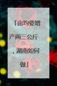 亩均要增产两三公斤，湖南如何做