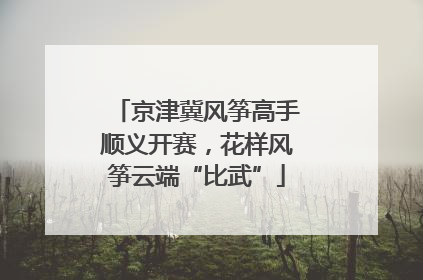 京津冀风筝高手顺义开赛，花样风筝云端“比武”