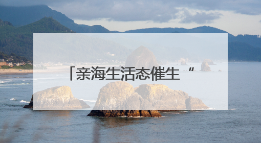 亲海生活态催生“海岸线消费带”