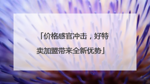 价格感官冲击，好特卖加盟带来全新优势