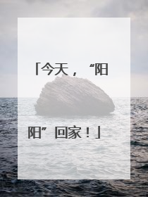 今天，“阳阳”回家！