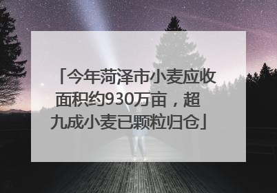 今年菏泽市小麦应收面积约930万亩，超九成小麦已颗粒归仓