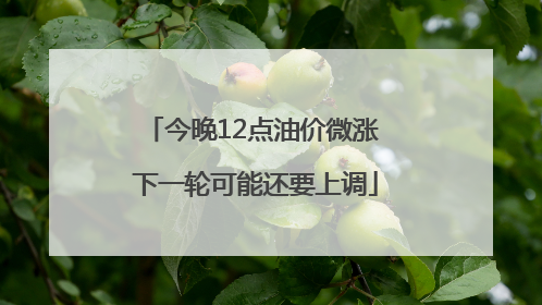 今晚12点油价微涨 下一轮可能还要上调