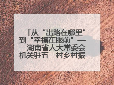 从“出路在哪里”到“幸福在眼前”——湖南省人大常委会机关驻五一村乡村振兴帮扶工作队书写振兴答卷