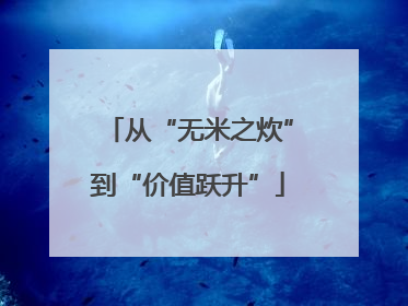从“无米之炊”到“价值跃升”