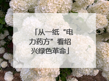 从一纸“电力药方”看绍兴绿色革命