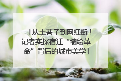 从土巷子到网红街！记者实探宿迁“墙绘革命”背后的城市美学