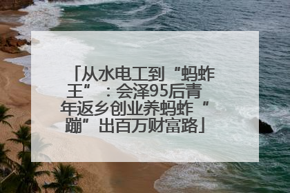 从水电工到“蚂蚱王”：会泽95后青年返乡创业养蚂蚱“蹦”出百万财富路