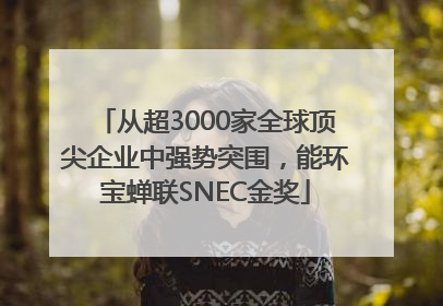 从超3000家全球顶尖企业中强势突围，能环宝蝉联SNEC金奖