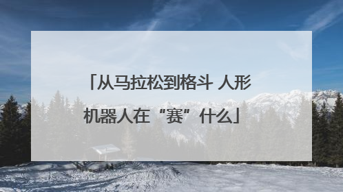 从马拉松到格斗 人形机器人在“赛”什么