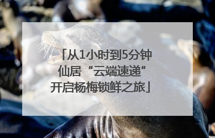 从1小时到5分钟 仙居“云端速递”开启杨梅锁鲜之旅